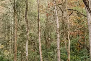 340 Hemlock Trail, Blue Ridge, GA 30513 - Photo 78