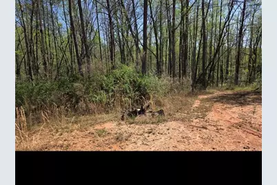 0 Thurmond Road 8.64 Acres Road, Cleveland, GA 30528 - Photo 4