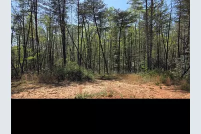 0 Thurmond Road 8.64 Acres Road, Cleveland, GA 30528 - Photo 6