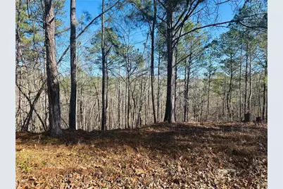 9590 Grande Drive, Winston, GA 30187 - Photo 4