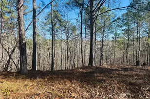 9590 Grande Dr, Winston, GA 30187 - Photo 4