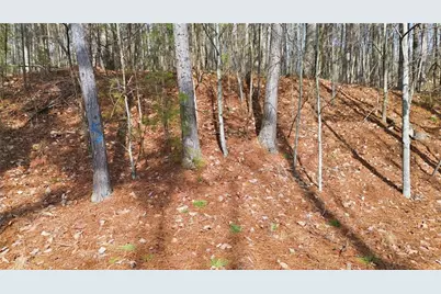 765 Plum Lane, Clarkesville, GA 30523 - Photo 2