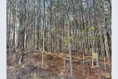 0 Rockfence Road, Adairsville, GA 30103 - Photo 8