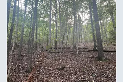 0 Rockfence Road, Adairsville, GA 30103 - Photo 14