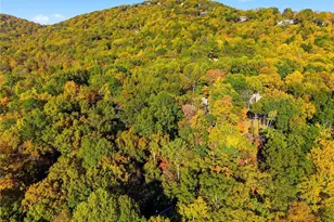112 Canada Geese Point, Big Canoe, GA 30143 - Photo 50