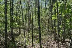 0 N 411 Hwy Hwy, Eton, GA 30705 - Photo 4