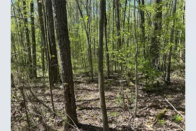 0 N. 411 Hwy Highway, Eton, GA 30705 - Photo 6