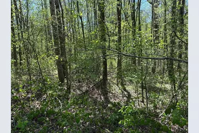 0 N. 411 Hwy Highway, Eton, GA 30705 - Photo 8