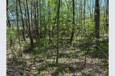 0 N. 411 Hwy Highway, Eton, GA 30705 - Photo 2