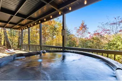 118 Lakota Lane, Mineral Bluff, GA 30559 - Photo 44