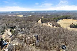 5082 Peach Mountain Cir, Gainesville, GA 30507 - Photo 38