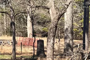 9010 Clark Rd, Fairburn, GA 30213 - Photo 4