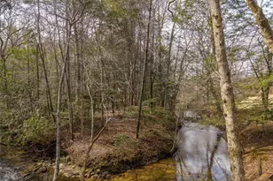 577 Macedonia Church Rd, Blue Ridge, GA 30513 - Photo 68