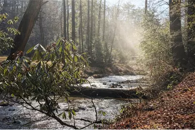 7223 Doublehead Gap Road, Blue Ridge, GA 30513 - Photo 12