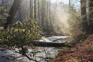 7223 Doublehead Gap Rd, Blue Ridge, GA 30513 - Photo 12