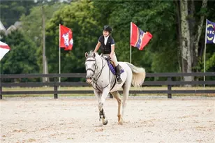 531 S Main St, Alpharetta, GA 30009 - Photo 36