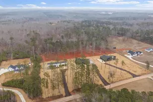 419 Lively Rd, Waco, GA 30182 - Photo 46