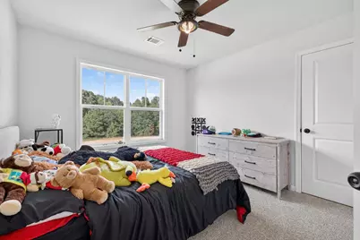 267 Bear Creek Meadows Drive, Bogart, GA 30622 - Photo 22