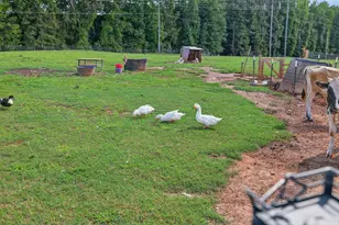 267 Bear Crk Mdws Dr, Bogart, GA 30622 - Photo 30