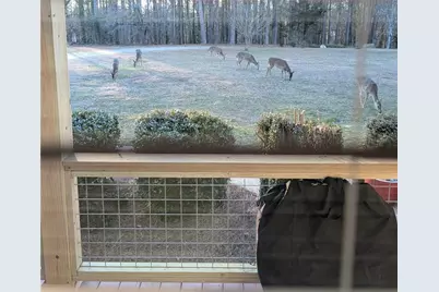 479 Morgan Valley Road, Rockmart, GA 30153 - Photo 16