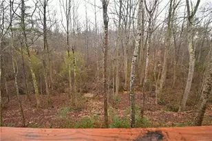 731 Dawn Pl, Alto, GA 30510 - Photo 50