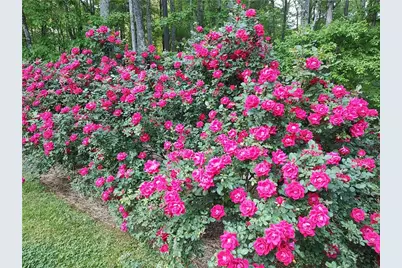 61 Maplewood Cove, Acworth, GA 30101 - Photo 58