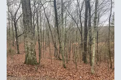 0 John Ingram Road, Silver Creek, GA 30173 - Photo 2