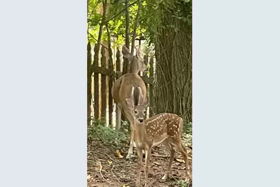 4075 Dream Catcher Drive, Woodstock, GA 30189 - Photo 2