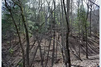 2569 Wilderness Parkway, Jasper, GA 30143 - Photo 2