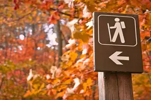 609 Spring Water, Waleska, GA 30183 - Photo 56