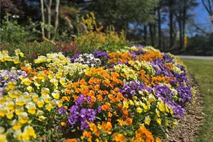 1750 Clairmont Rd, Decatur, GA 30033 - Photo 30