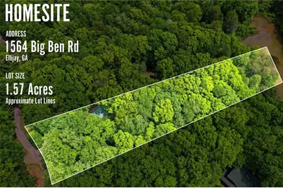 1564 Big Ben Road, Ellijay, GA 30540 - Photo 10