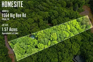 1564 Big Ben Rd, Ellijay, GA 30540 - Photo 10