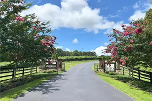 365 Trails End Summit, Ellijay, GA 30540 - Photo 50