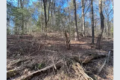 0 Old Miller Rock Road, Ellijay, GA 30540 - Photo 4
