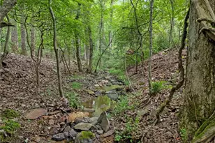 532 Vistaview Pkwy, Jasper, GA 30143 - Photo 80