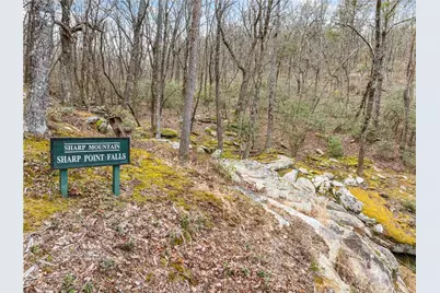 532 Vistaview Parkway, Jasper, GA 30143 - Photo 58