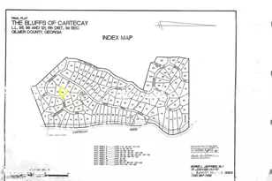 291 Aspen Ave, Ellijay, GA 30536 - Photo 36