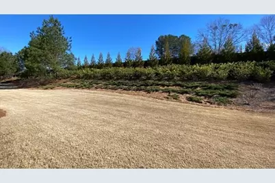 3691 Heirloom Loop Court, Buford, GA 30519 - Photo 58