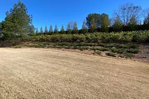 3691 Heirloom Loop Ct, Buford, GA 30519 - Photo 58