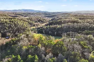 387 Ruby Ln, Mineral Bluff, GA 30559 - Photo 28