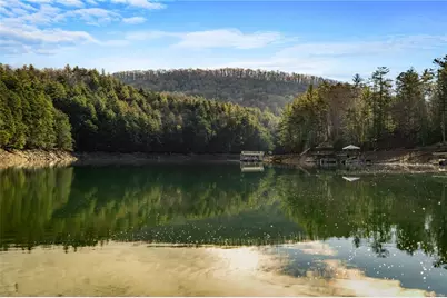 770 Fish Hook Point, Blue Ridge, GA 30513 - Photo 88