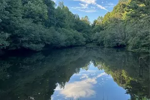 5169 Artesian Spring Dr, Flowery Branch, GA 30542 - Photo 50