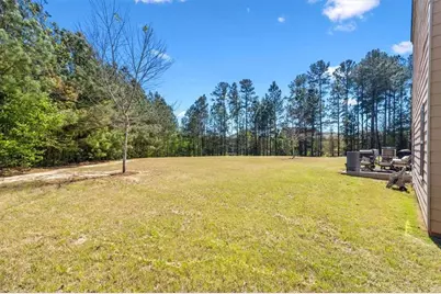 343 Bandelier Circle, Hampton, GA 30228 - Photo 26