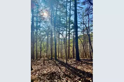 334 Packet Court, Ranger, GA 30734 - Photo 1