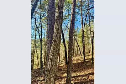 335 Packet Court, Ranger, GA 30734 - Photo 6