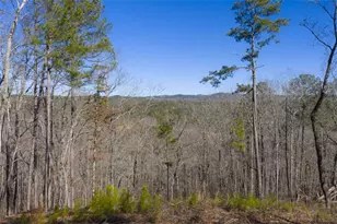 Lt 285 Anglers Ridge Rd, Talking Rock, GA 30175 - Photo 1