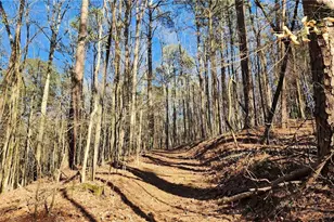 2405 Caylor Hill Pointe NW, Kennesaw, GA 30152 - Photo 68