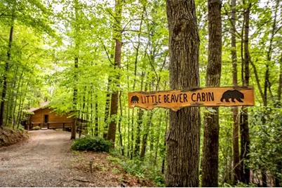 137 Little Beaver Drive, Cherrylog, GA 30522 - Photo 1