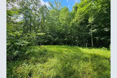 0 Hutcheson Road, Temple, GA 30179 - Photo 2